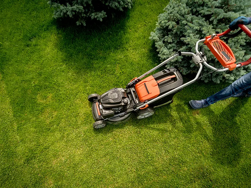 Cleanup